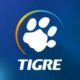 LinkedIn Vagas Como Conquistar a Posi o de Supervisor de Comissionamento na Grupo Tigre