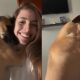 O Abra o Di rio de Um C o Caramelo Uma Hist ria de Amor e Gratid o que Conquistou a Internet