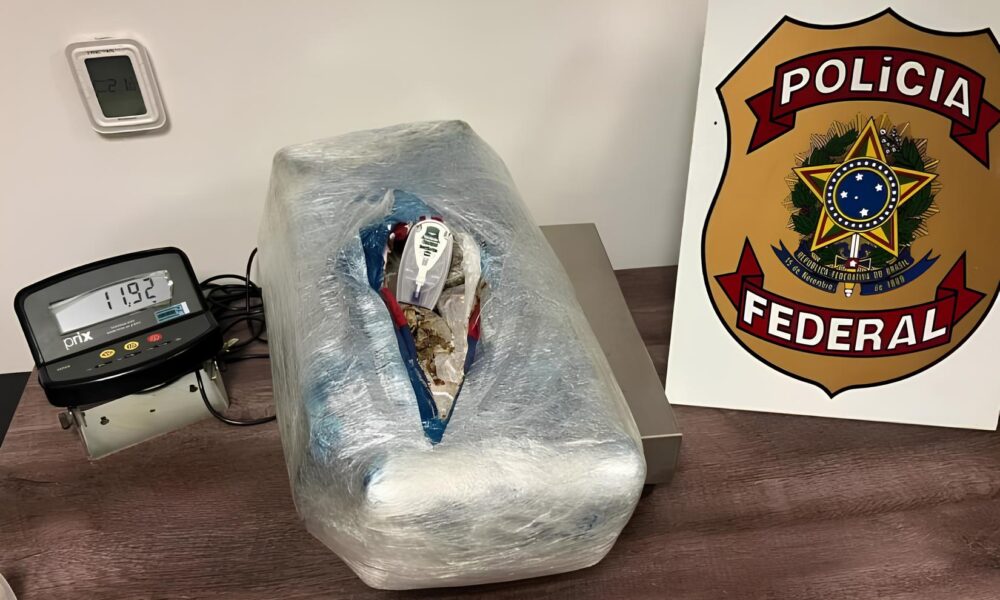 O Dia em que a Super Maconha Parou um Aeroporto O Caso que Virou Manchete Nacional