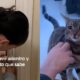 O Her i de Quatro Patas Como um Gato Viralizou ao Salvar Casal Trancado Fora de Casa