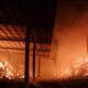 O Inferno Verde Como Inc ndios Florestais na Coreia do Sul Transformaram Vidas e Paisagens em Cinzas