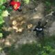 O Mist rio da Fazenda Silenciosa O Caso da Fam lia Encontrada Morta em Goi s