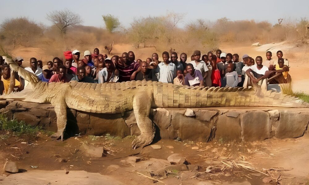 O Mist rio do Rio N ger Como um Crocodilo Gigante Apavorou uma Vila Africana e Virou S mbolo de Medo e Sobreviv ncia