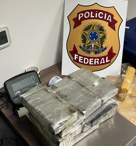 Operação Escudo: Apreensão de 26 Quilos de Drogas no Aeroporto de Viracopos Revela Novo Capítulo na Guerra Contra o Tráfico 16 Opera o Escudo Apreens o de 26 Quilos de Drogas no Aeroporto de Viracopos Revela Novo Cap tulo na Guerra Contra o Tr fico