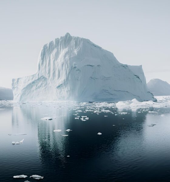 Os Oceanos Estão Gritando por Socorro: Como o Aquecimento Global Está Moldando Nosso Futuro por Milênios 19 Os Oceanos Est o Gritando por Socorro Como o Aquecimento Global Est Moldando Nosso Futuro por Mil nios