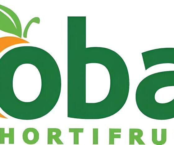 Por Que Trabalhar na Rede Oba De Hortifruti Pode Ser a Oportunidade da Sua Vida? 19 Por Que Trabalhar na Rede Oba De Hortifruti Pode Ser a Oportunidade da Sua Vida