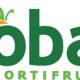Por Que Trabalhar na Rede Oba De Hortifruti Pode Ser a Oportunidade da Sua Vida