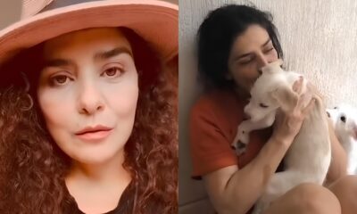 Quando Amor e Controv rsia Colidem A Hist ria de Let cia Sabatella e Seus C es Perdidos