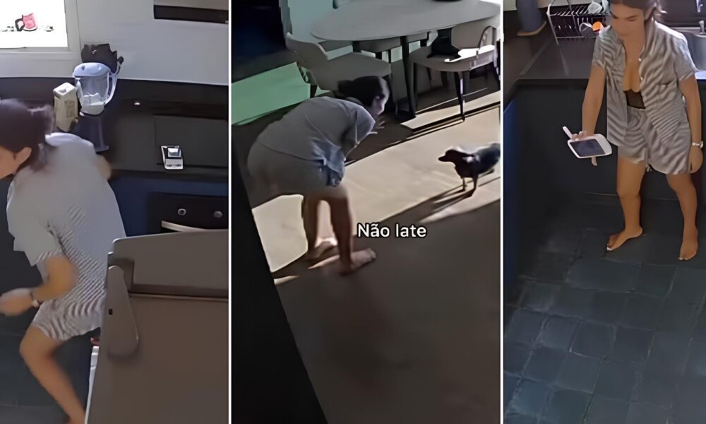 Quando a Cachorrinha Vira Vil A Saga de Am lie e o Beb Que N o Podia Dormir