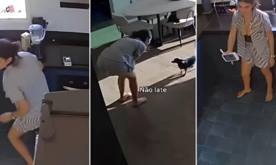 Quando a Cachorrinha Vira Vil A Saga de Am lie e o Beb Que N o Podia Dormir