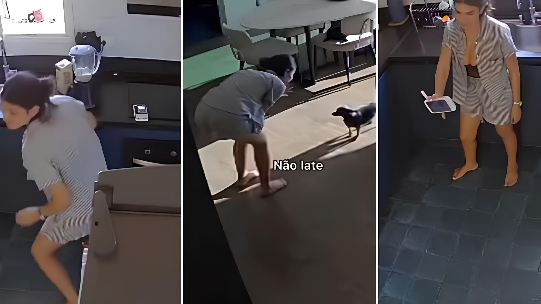 Quando a Cachorrinha Vira Vilã: A Saga de Amélie e o Bebê Que Não Podia Dormir 15 Quando a Cachorrinha Vira Vil A Saga de Am lie e o Beb Que N o Podia Dormir