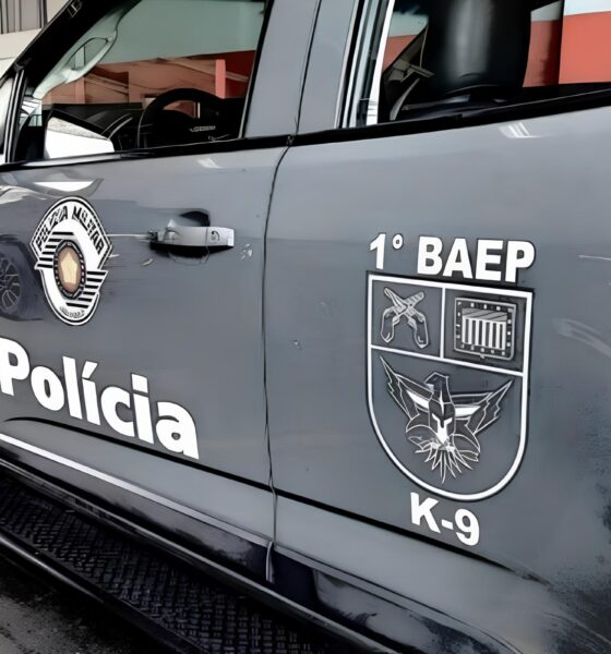 Quando as Sombras da Noite se Encontram com a Lei: A Queda de um Traficante e o Desmantelamento de uma Central de Drogas na RMC 19 Quando as Sombras da Noite se Encontram com a Lei A Queda de um Traficante e o Desmantelamento de uma Central de Drogas na RMC