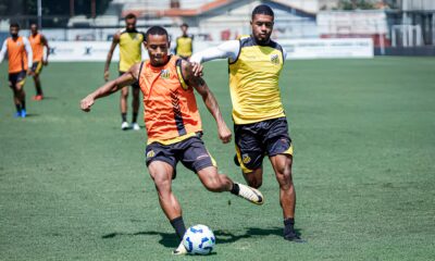 Tigre do Vale em Campo Novorizontino Encara o Oper rio VG Pela Classifica o na Copa do Brasil
