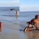 Um Momento de Liberdade C o em Cadeira de Rodas Conhece o Mar e Encanta Milh es