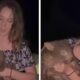 Uma Aventura Inusitada O Caso da Turista Americana e o Filhote de Vombate que Paralisou a Austr lia