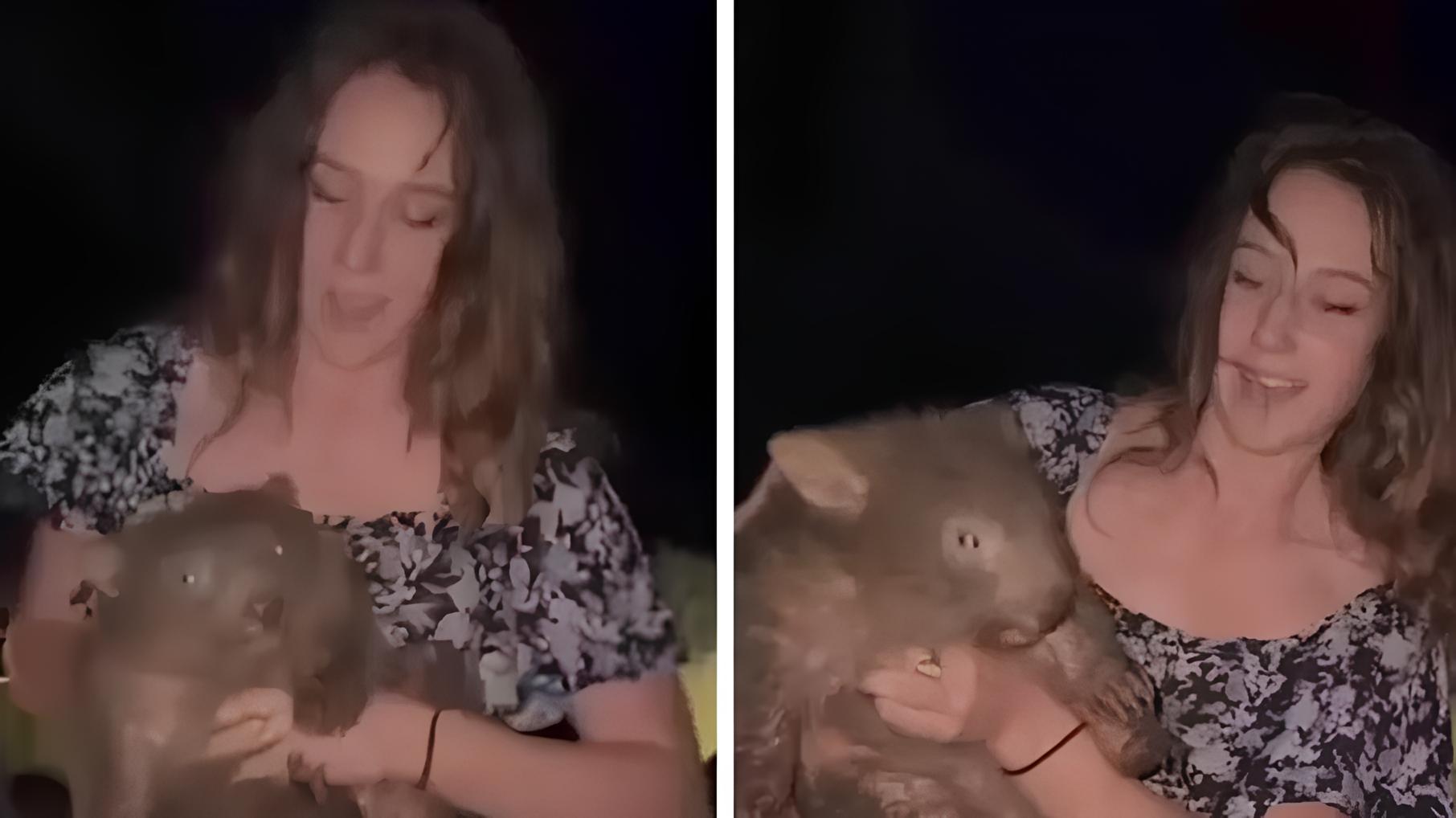 Uma Aventura Inusitada: O Caso da Turista Americana e o Filhote de Vombate que Paralisou a Austrália 15 Uma Aventura Inusitada O Caso da Turista Americana e o Filhote de Vombate que Paralisou a Austr lia