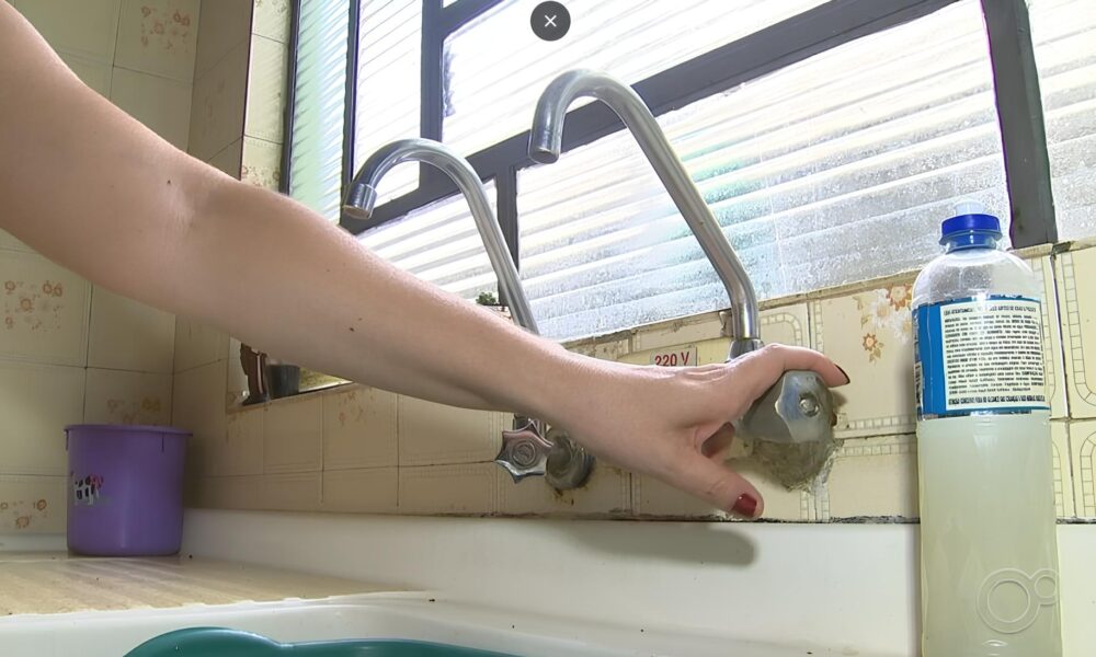 A Barragem que Pode Salvar Milhares de Vidas ou Colocar em Risco uma Esp cie Amea ada O Caso do Ribeir o Pira