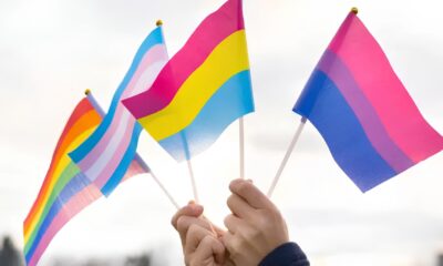 A Batalha por Direitos LGBT no Brasil Como Caxias do Sul Est Liderando a Resist ncia e Reinventando a Inclus o