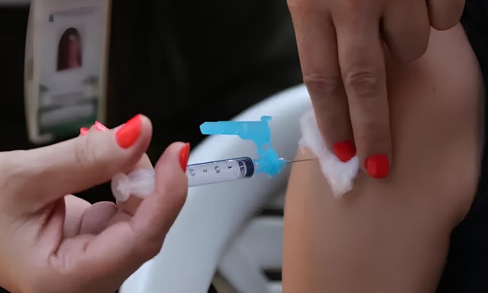 A Chegada da Vacina Contra a Dengue O Brasil Enfrenta o Mosquito Que N o D Tr gua