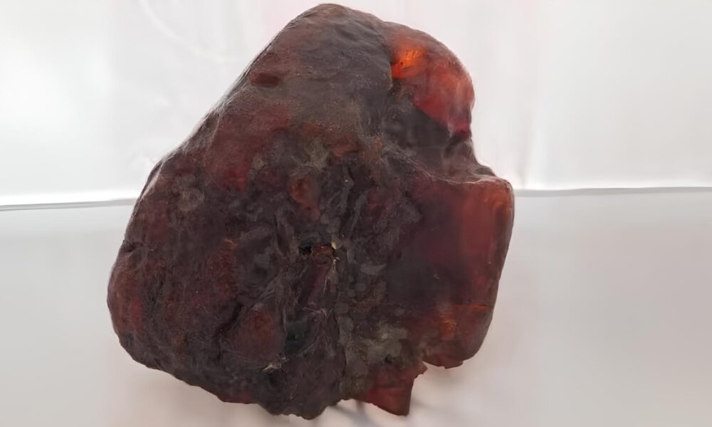 A Pedra que Encantou o Mundo Como um Simples Peso de Porta se Tornou um Tesouro Avaliado em Milh es