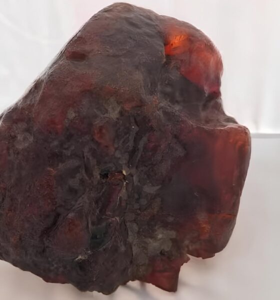 A Pedra que Encantou o Mundo: Como um Simples Peso de Porta se Tornou um Tesouro Avaliado em Milhões 16 A Pedra que Encantou o Mundo Como um Simples Peso de Porta se Tornou um Tesouro Avaliado em Milh es