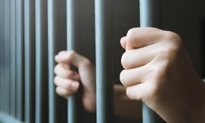 A Pens o Aliment cia N o Paga Um Caso Real Que Virou Manchete e Suas Implica es na Sociedade Brasileira