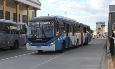 Amplia o da Linha 193 em Campinas Um Novo Cap tulo para o Transporte P blico e a Conex o Urbana