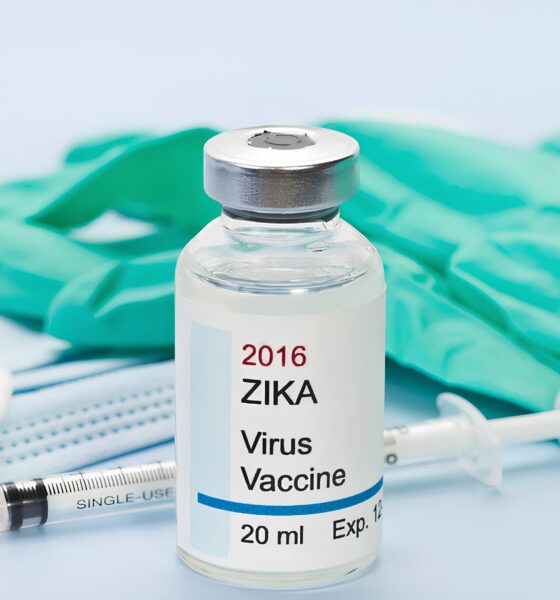 Brasil Recebe 1 Milhão de Doses da Vacina Contra a Dengue: Um Raio de Esperança no Combate à Epidemia 16 Brasil Recebe 1 Milh o de Doses da Vacina Contra a Dengue Um Raio de Esperan a no Combate Epidemia