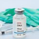 Brasil Recebe 1 Milh o de Doses da Vacina Contra a Dengue Um Raio de Esperan a no Combate Epidemia