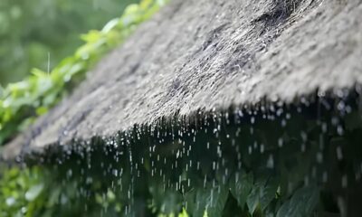 Chuva em Indaiatuba Como o Clima Define Nossa Rotina e o Que Esperar dos Pr ximos Dias