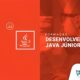 Como Conquistar o Futuro A Jornada de um Desenvolvedor Java em Indaiatuba e o Impacto na Transforma o Digital