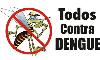 Como a Receita Federal Salvou Milh es de Brasileiros A Hist ria das 14 Toneladas de Vacinas Contra a Dengue