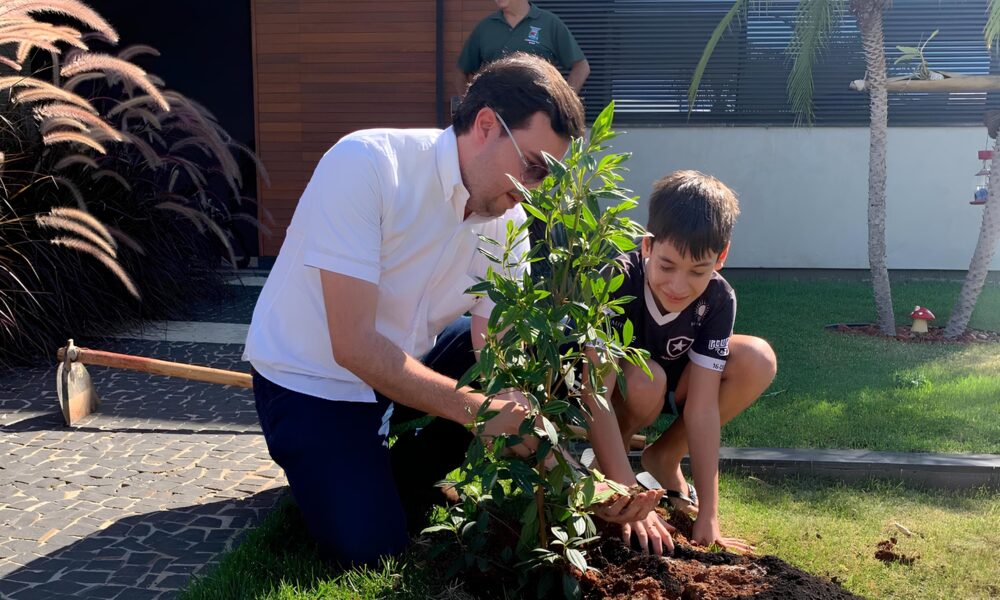 Como o Projeto Bairro Verde Est Transformando Condom nios em O sis Urbanos