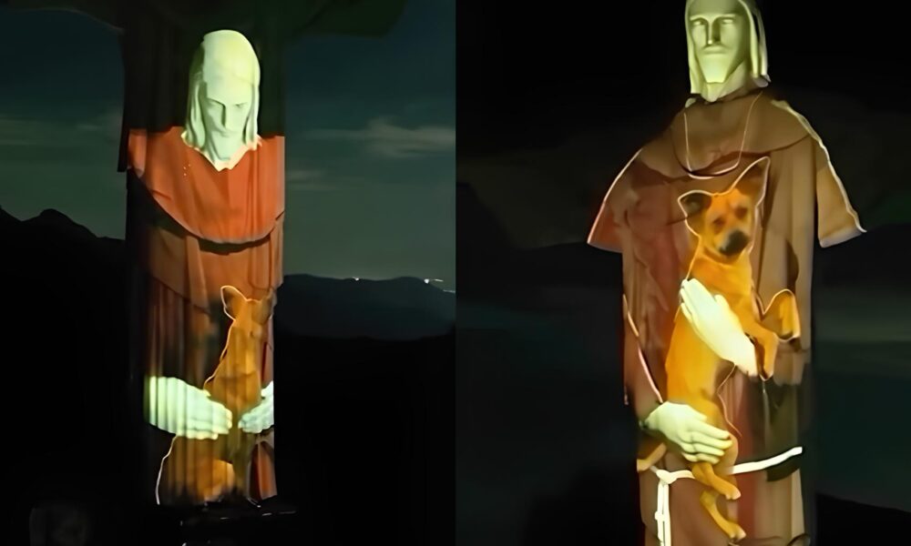 Cristo Redentor Abra a Vira Lata em Campanha de Ado o Um Gesto Simb lico Que Encanta e Conscientiza