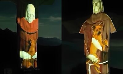 Cristo Redentor Abra a Vira Lata em Campanha de Ado o Um Gesto Simb lico Que Encanta e Conscientiza