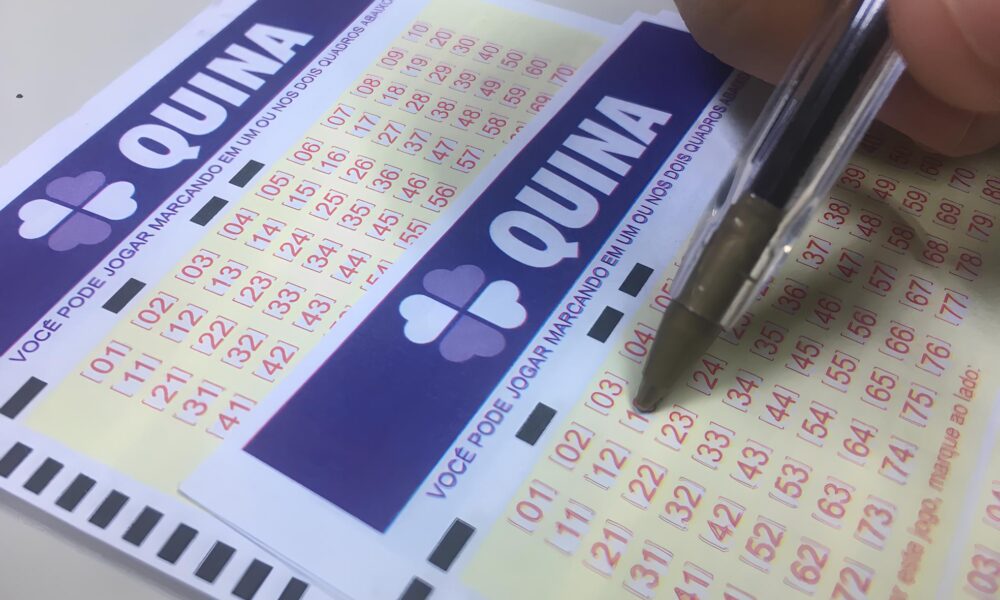 De Campinas para o Sonho Milion rio Como Uma Aposta Simples Transformou Vidas no Concurso 6714 da Quina