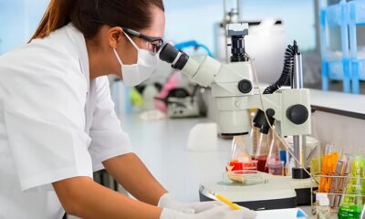 Descubra Como A Applus IDIADA Est Revolucionando o Mercado de Engenharia em Indaiatuba