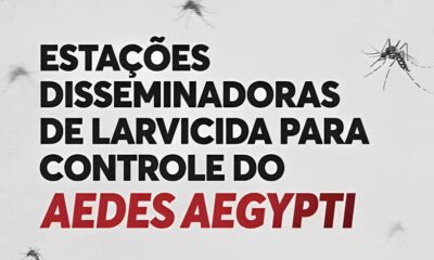 Indaiatuba Contra o Aedes A Nova Arma Secreta na Guerra Contra a Dengue