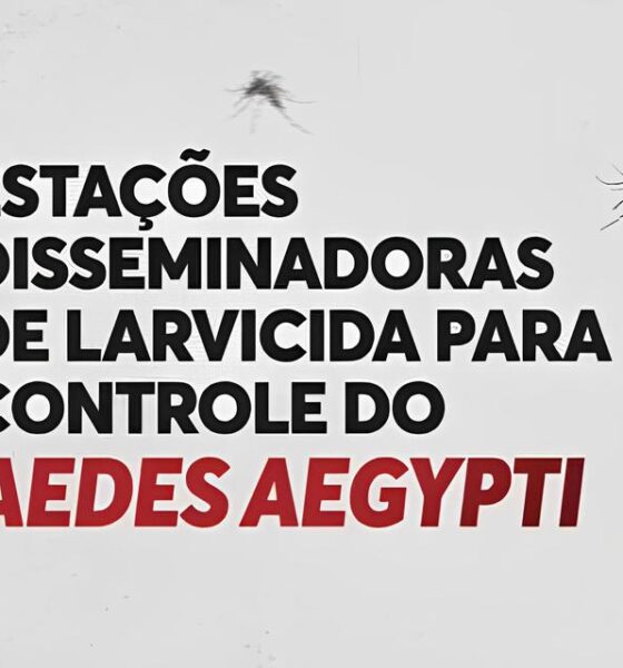 Indaiatuba Contra o Aedes: A Nova Arma Secreta na Guerra Contra a Dengue 16 Indaiatuba Contra o Aedes A Nova Arma Secreta na Guerra Contra a Dengue