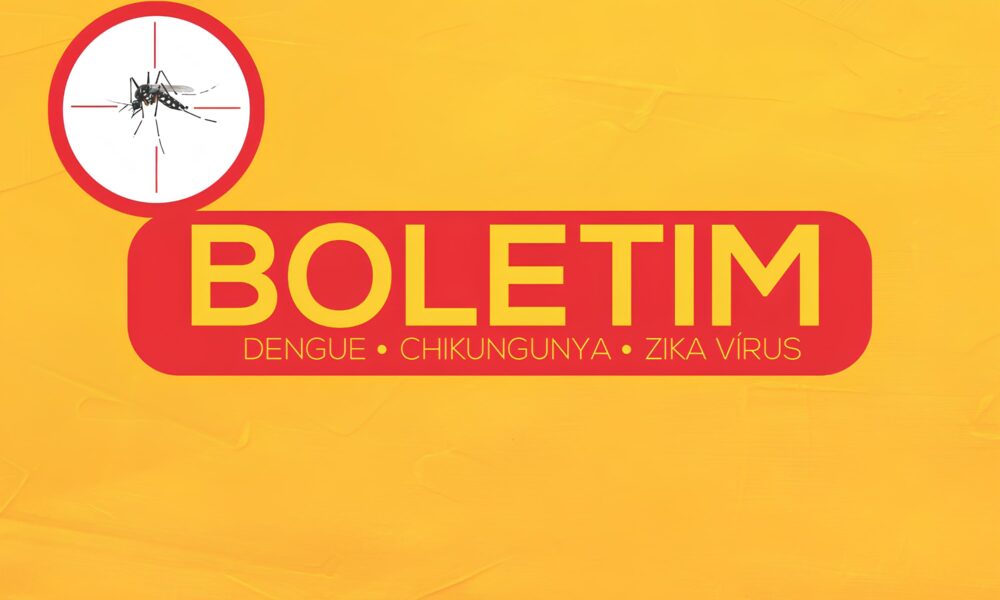 Indaiatuba em Alerta A Batalha Contra a Dengue Chikungunya e Zika V rus