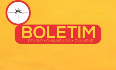 Indaiatuba em Alerta A Batalha Contra a Dengue Chikungunya e Zika V rus