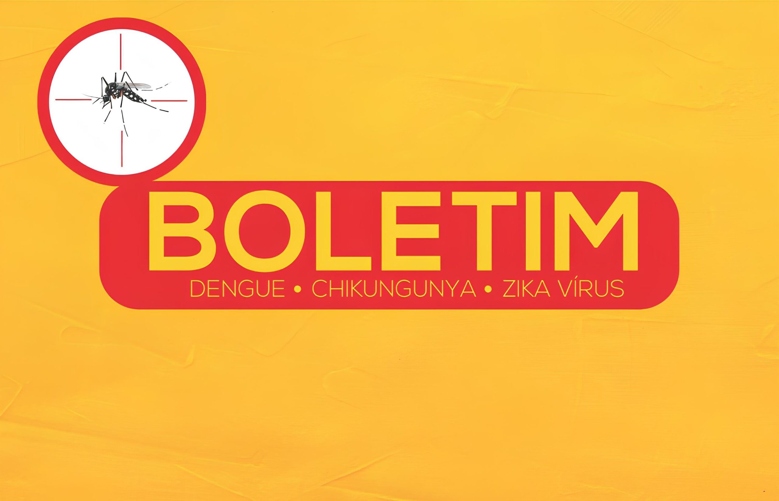 Indaiatuba em Alerta: A Batalha Contra a Dengue, Chikungunya e Zika Vírus 15 Indaiatuba em Alerta A Batalha Contra a Dengue Chikungunya e Zika V rus scaled