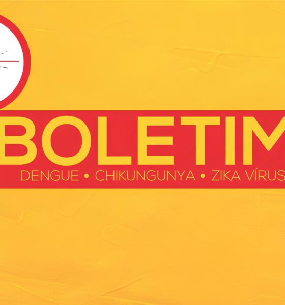 Indaiatuba em Alerta: Dengue, Chikungunya e Zika Avançam – O Que Você Precisa Saber para Proteger Sua Família 16 Indaiatuba em Alerta Dengue Chikungunya e Zika Avan am O Que Voc Precisa Saber para Proteger Sua Fam lia