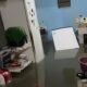 Quando o C u Desaba Como um Temporal Transformou Manaus em um Campo de Batalha
