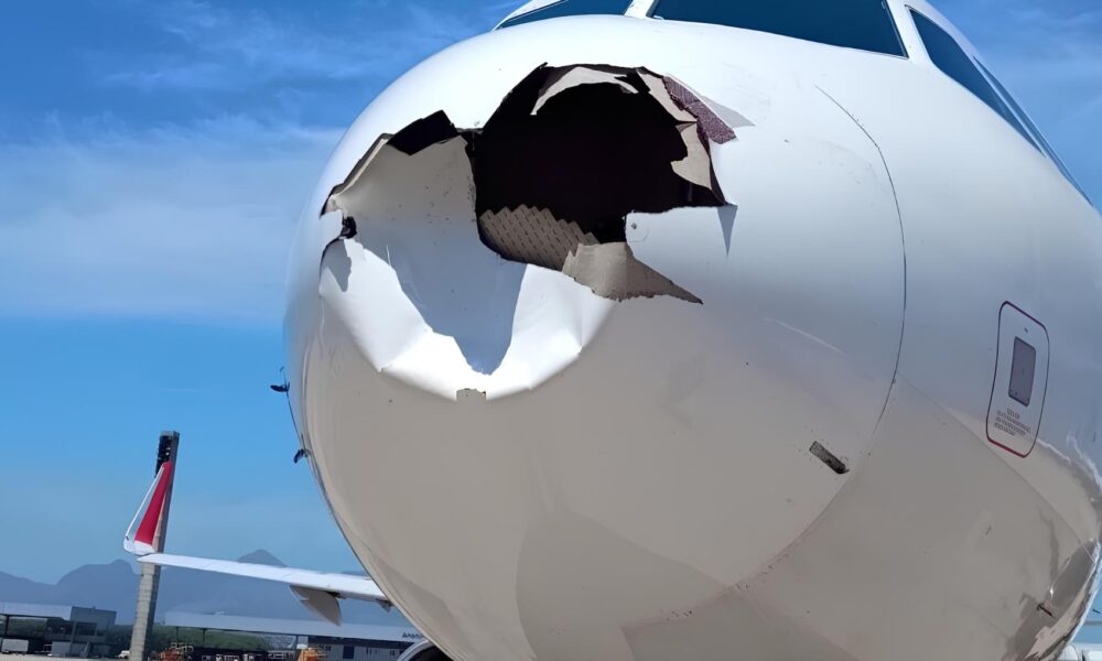 Quando o C u Encontra a Terra O Impacto de Colis es de Aves em Aeroportos Brasileiros