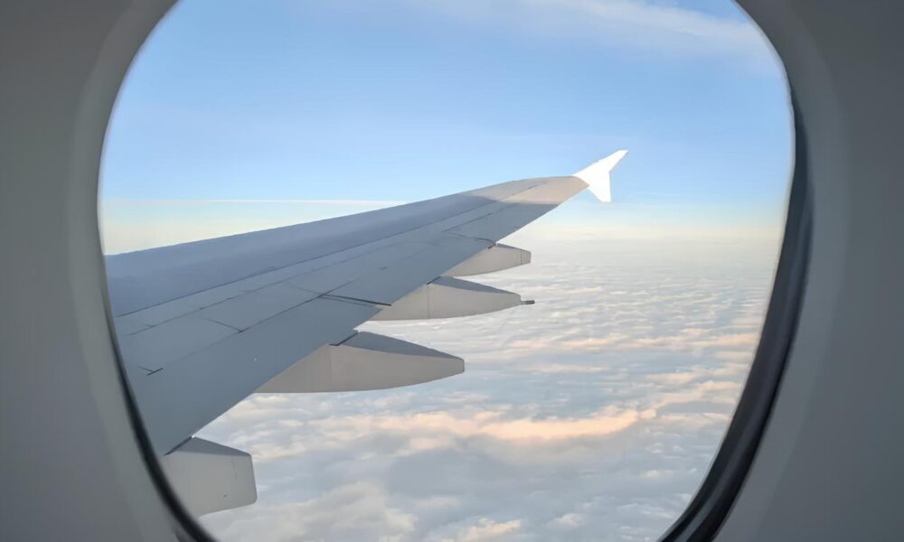 Quando o Caos Sobe a Bordo Como Um Passageiro Indisciplinado Paralisou Um Aeroporto e Deixou Todos em Alerta