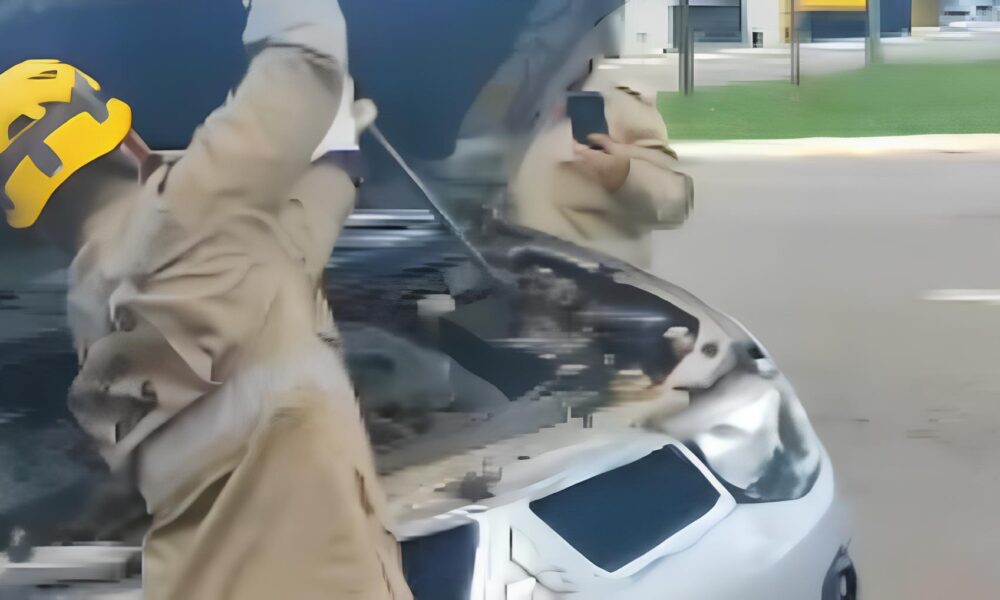Quando o Motor do Carro Vira Habitat A Hist ria da Cobra Resgatada em An polis