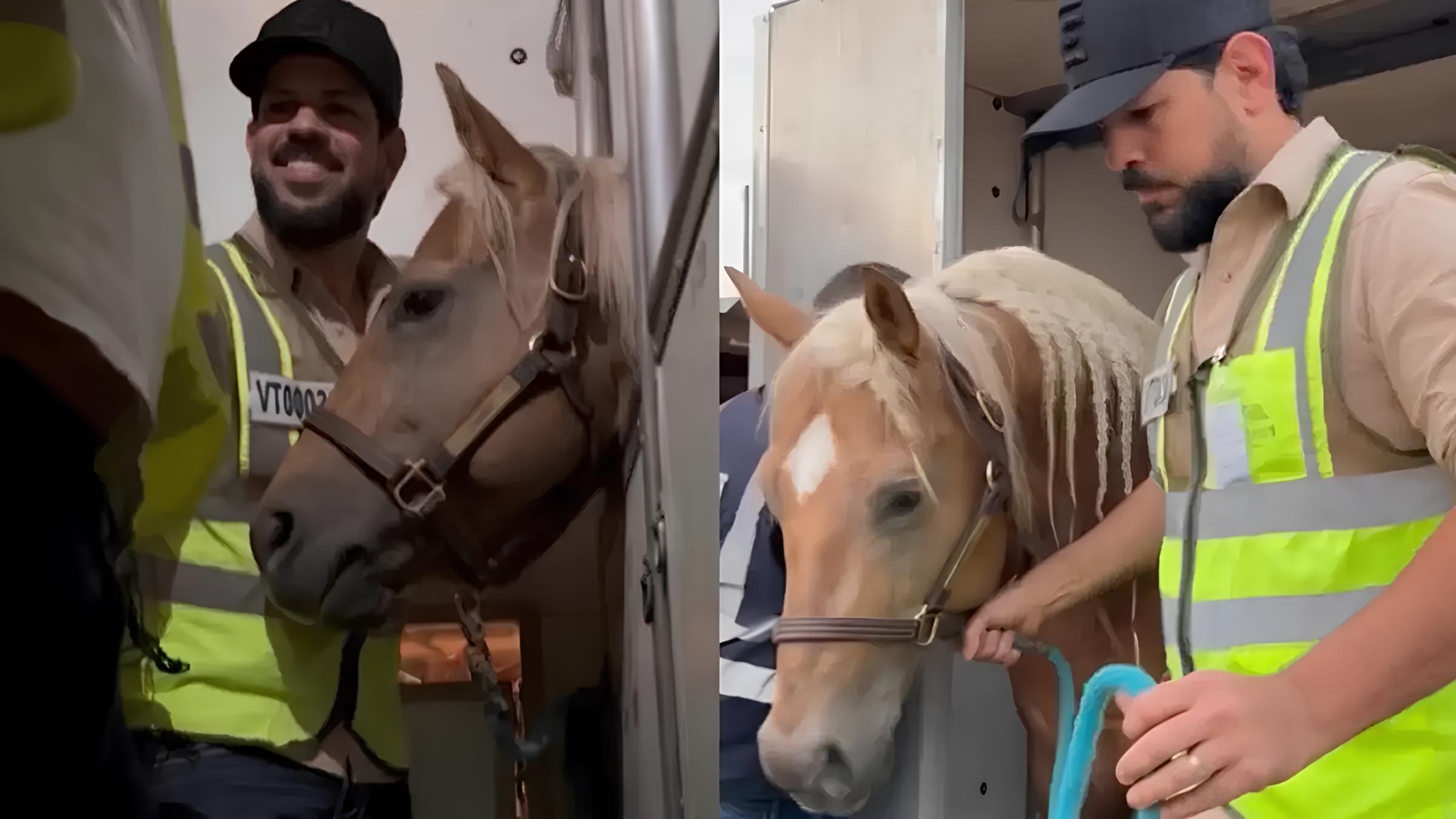 Quando o Sertanejo Encontra o Ouro: A História Por Trás do Cavalo Milionário de Sorocaba 15 Quando o Sertanejo Encontra o Ouro A Hist ria Por Tr s do Cavalo Milion rio de Sorocaba