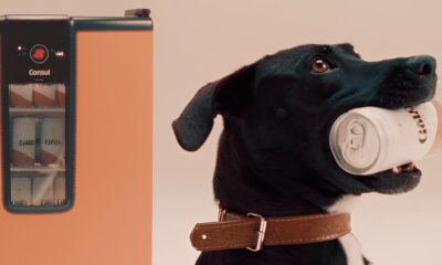 Quando um Cachorro Idoso Vira o Gar om da Sua Cerveja A Campanha Que Est Mudando a Forma de Pensar Sobre Ado o e Criatividade