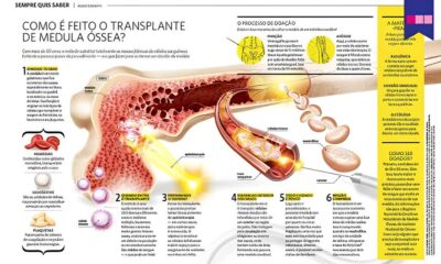 A Batalha de Pedro Como Um Adolescente de Indaiatuba Est Renovando a Esperan a no Cora o do Brasil